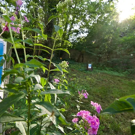 Komfortowe Przestronne Z Prywatnymi Lazienkami Blisko Warszawy I Suntago Homestay