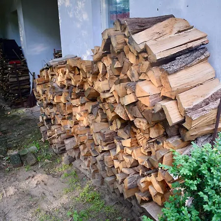 Homestay Komfortowe Przestronne Z Prywatnymi Lazienkami Blisko Warszawy I Suntago Milanowek