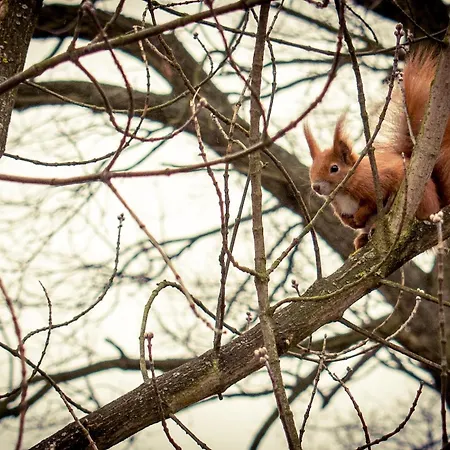 Komfortowe Przestronne Z Prywatnymi Lazienkami Blisko Warszawy I Suntago *